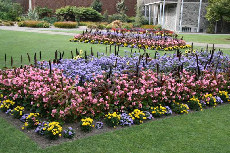 Nieuw-Zeeland 2011 - 2162